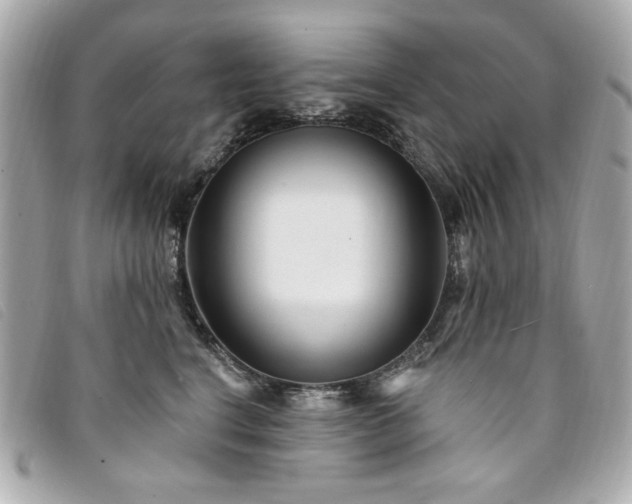 X0000094230664200710261257