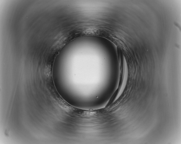 X0000094230665200710261257