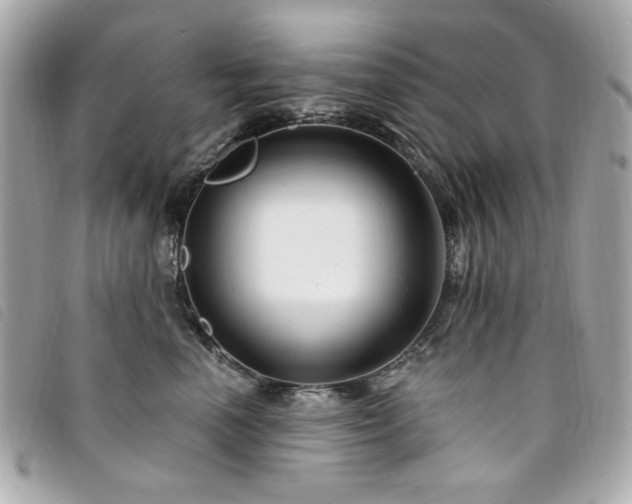 X0000094230666200710261257