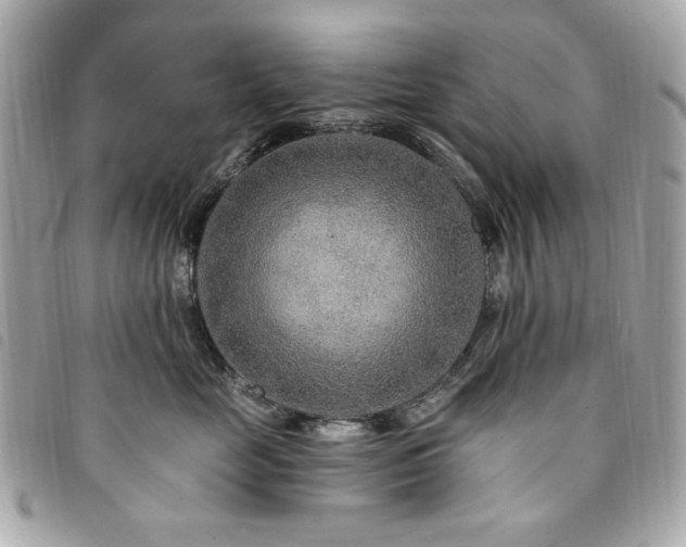 X0000094230669200710261257