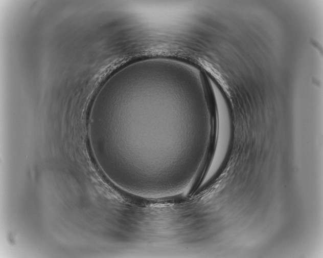 X0000094230673200710261257
