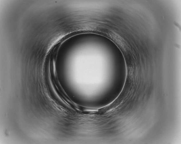X0000094230676200710261257