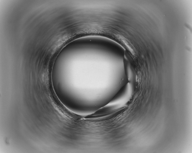 X0000094230677200710261257