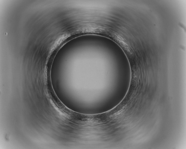 X0000094230678200710261257