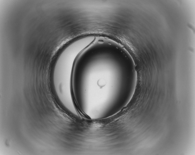X0000094230684200710261257