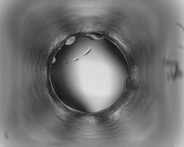 X0000094230685200710261256