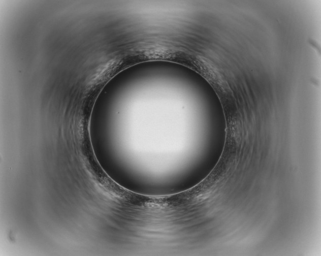 X0000094230690200710261256