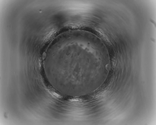 X0000094230691200710261256
