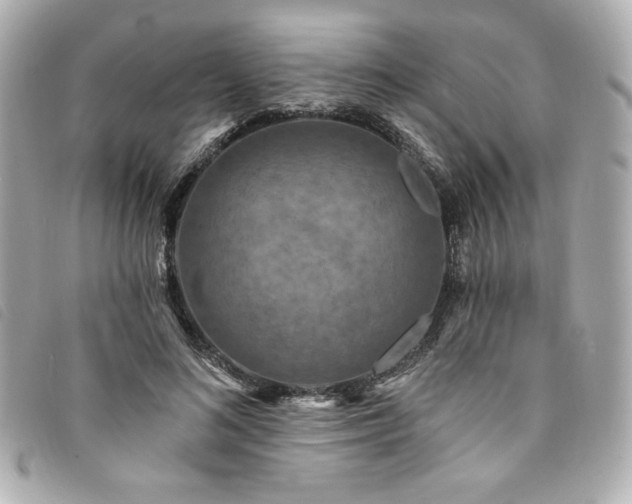 X0000094230692200710261256