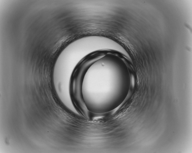 X0000094230693200710261256