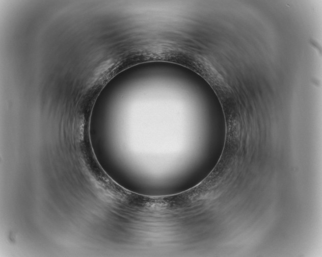X0000094230694200710261256
