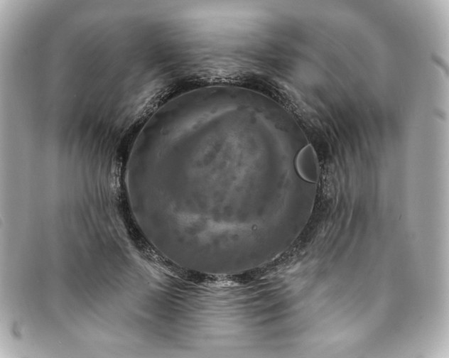 X0000094230695200710261256