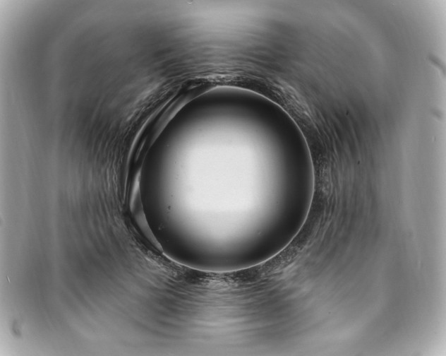 X0000094230697200710261256