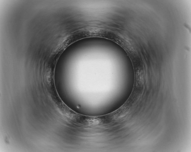 X0000094230698200710261256