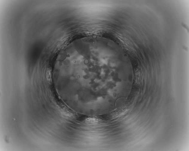 X0000094230699200710261256