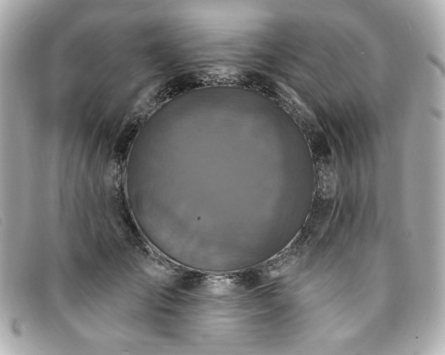 X0000094230701200710261256