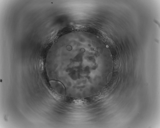 X0000094230703200710261256