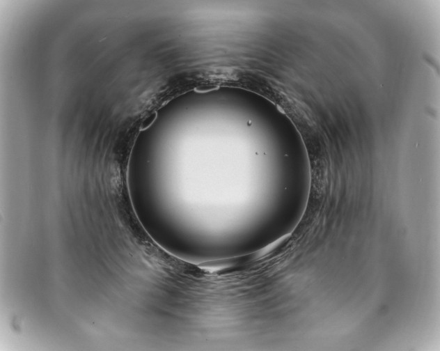 X0000094230704200710261256