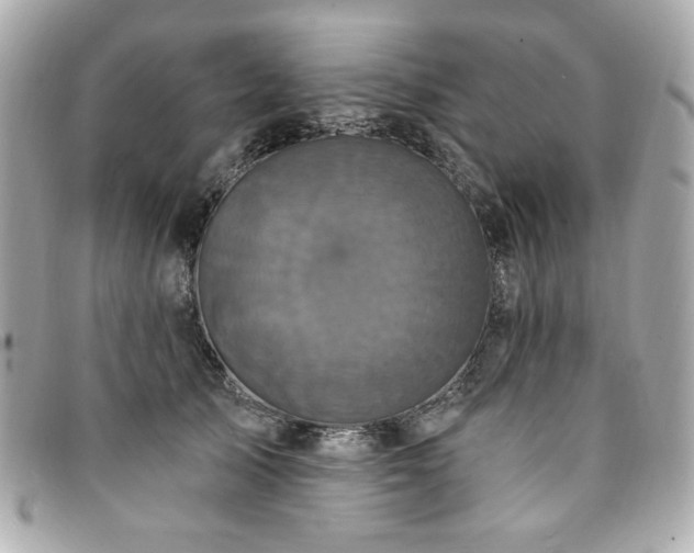 X0000094230705200710261256