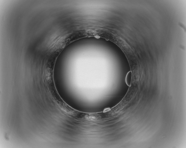 X0000094230706200710261256