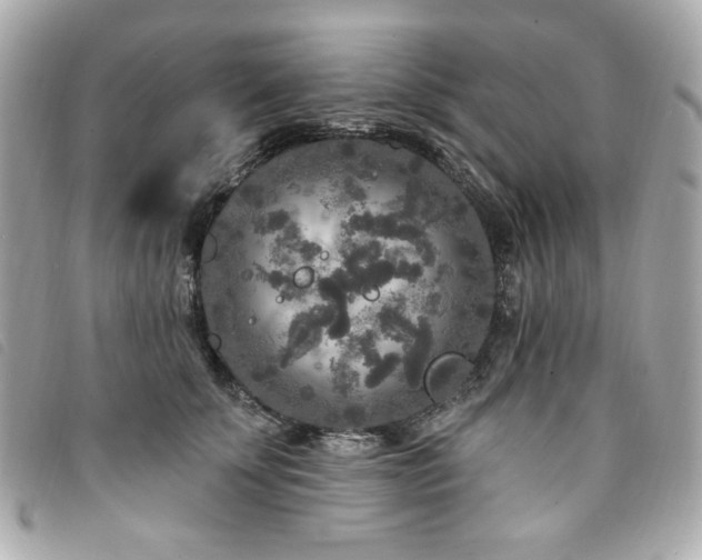 X0000094230707200710261256