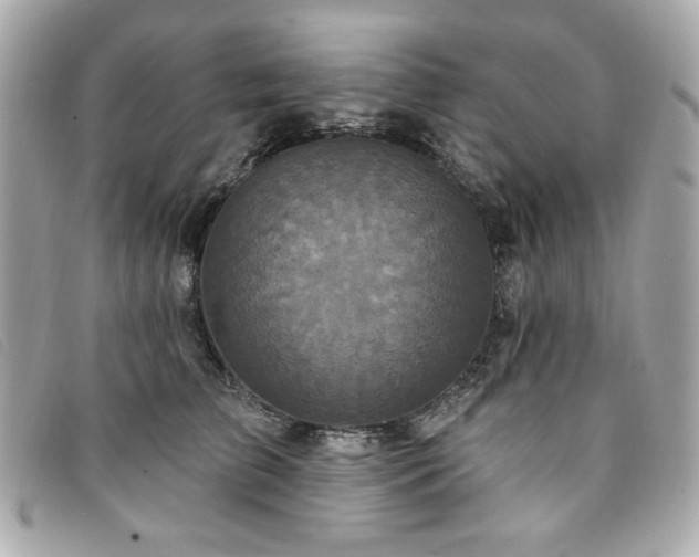 X0000094230709200710261256