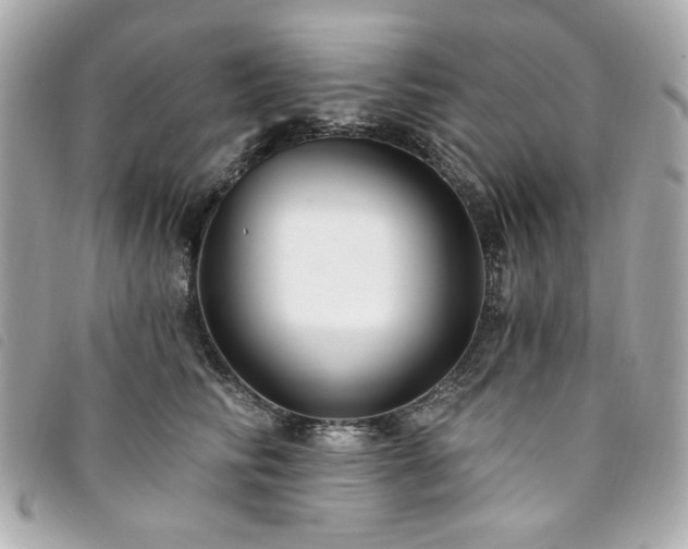 X0000094230710200710261256