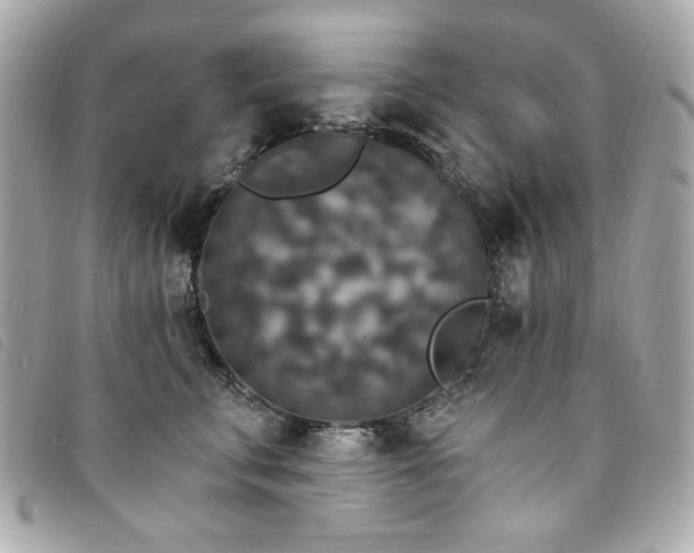X0000094230711200710261256