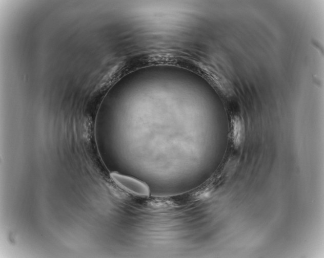 X0000094230712200710261256