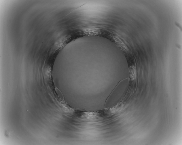 X0000094230713200710261256