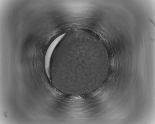 X0000094230715200710261256