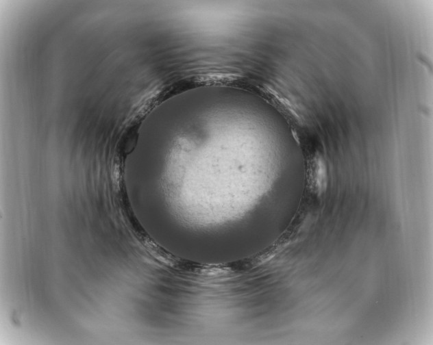 X0000094230716200710261256