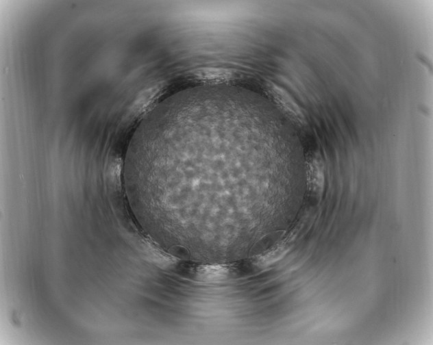 X0000094230717200710261256