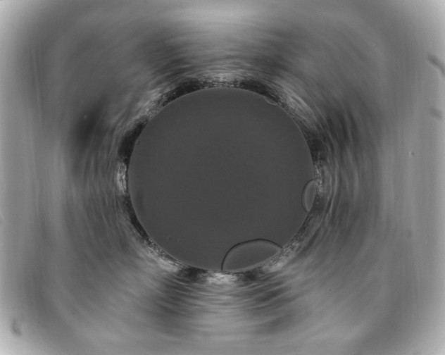 X0000094230718200710261256