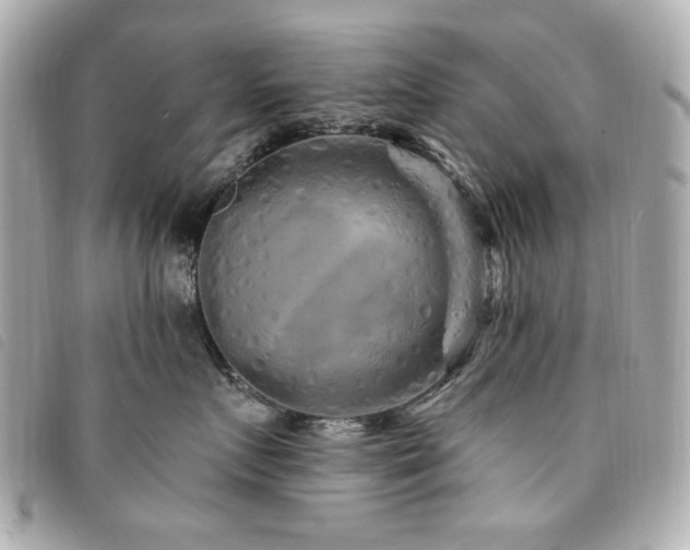 X0000094230719200710261256