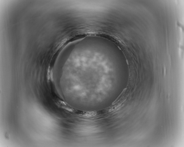 X0000094230720200710261256
