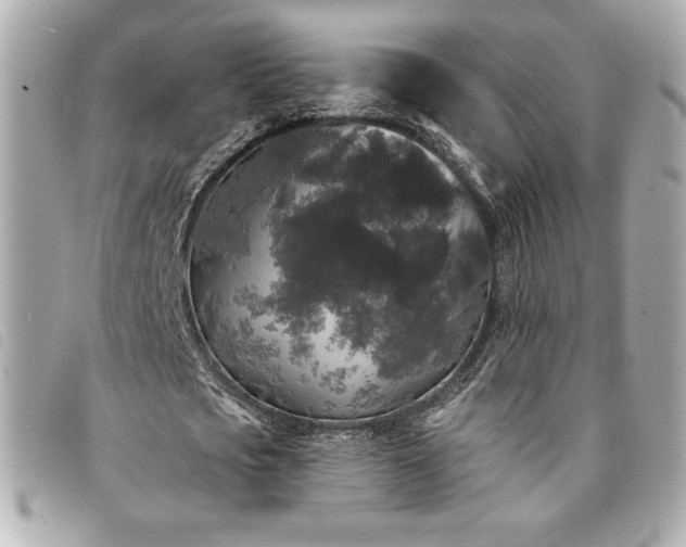 X0000094230721200710261255