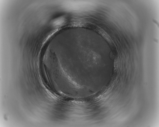 X0000094230722200710261256