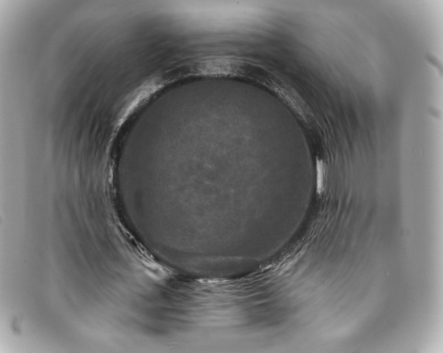 X0000094230723200710261256
