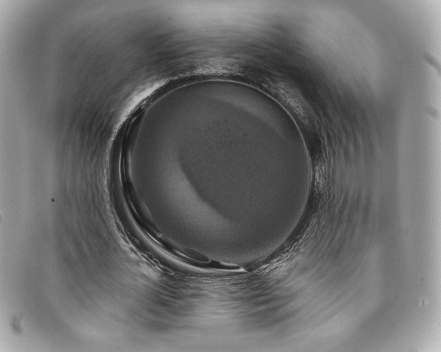 X0000094230724200710261256