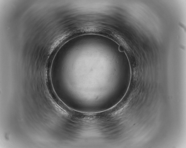 X0000094230725200710261256