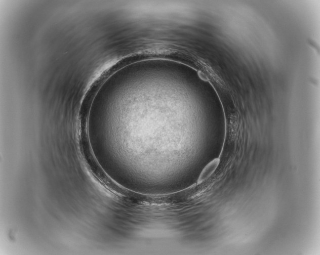 X0000094230726200710261256