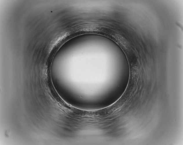 X0000094230727200710261256
