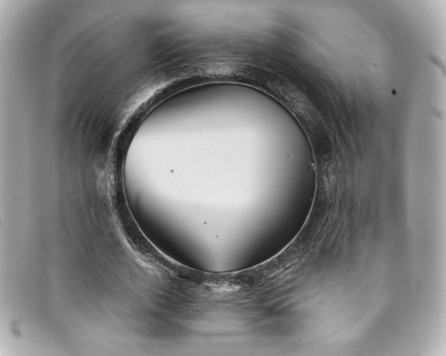 X0000094230728200710261256