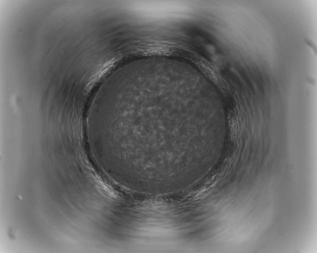 X0000094230729200710261256