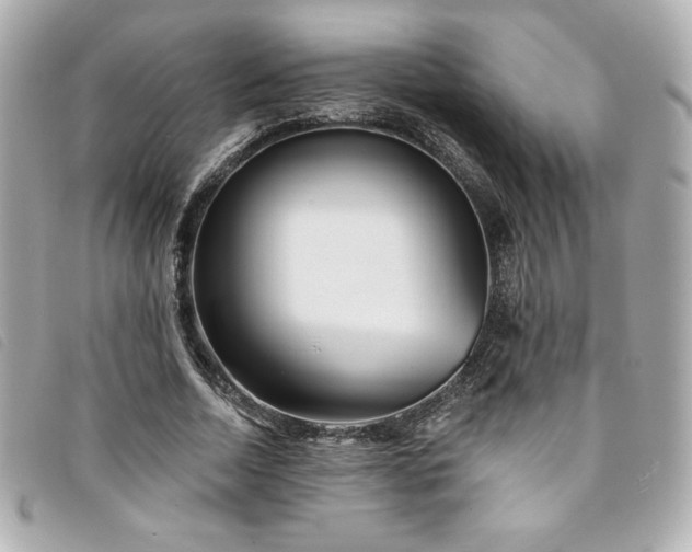 X0000094230730200710261256