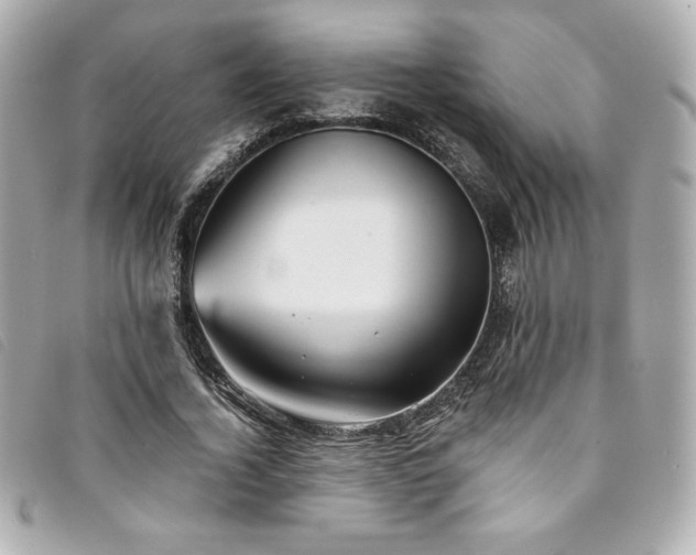 X0000094230732200710261256