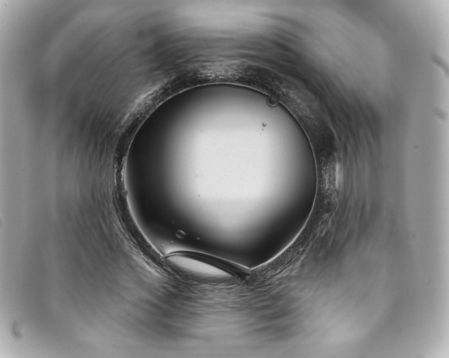 X0000094230733200710261256