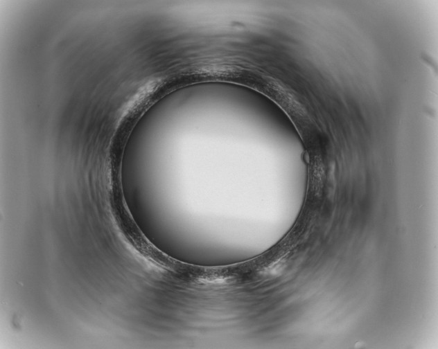 X0000094230734200710261256