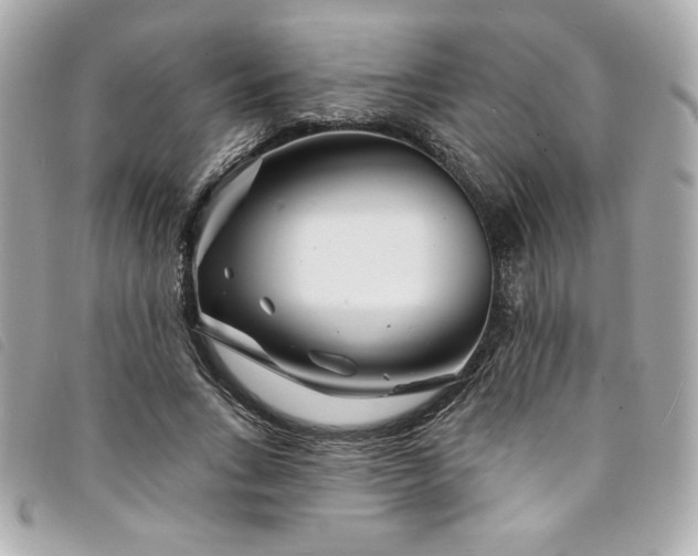 X0000094230735200710261256